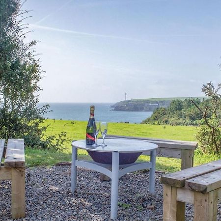 Haven View - 1 Bedroom Shepherds Hut - St Ishmaels Saint Ishmaels  エクステリア 写真
